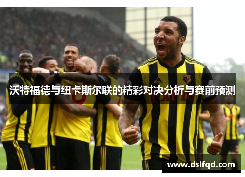 沃特福德与纽卡斯尔联的精彩对决分析与赛前预测